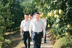 学习好贯彻好党的二十届四